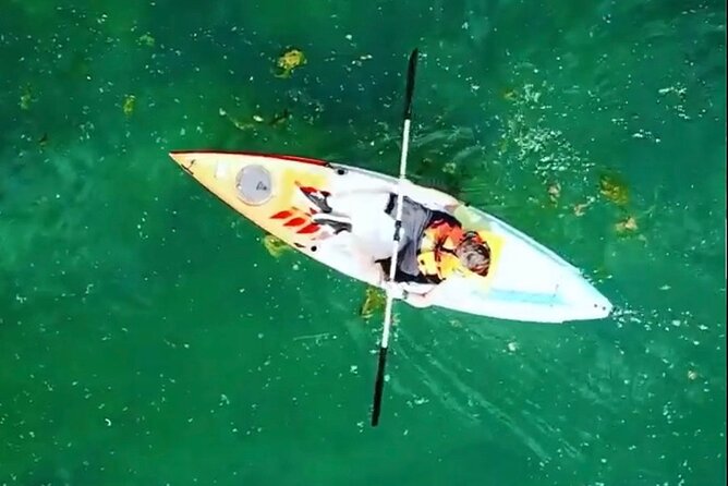 Safari kayak adventure w BBQ & Beer - Why the $52.68 price feels fair for what you get
