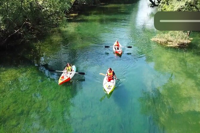 Safari kayak adventure w BBQ & Beer - Bunica River paddling: easy water, clear views, and lots of quiet