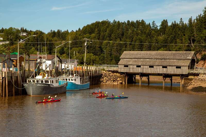 Saint John: Guided Kayaking Tour of St. Martins Sea Caves - Key highlights that matter