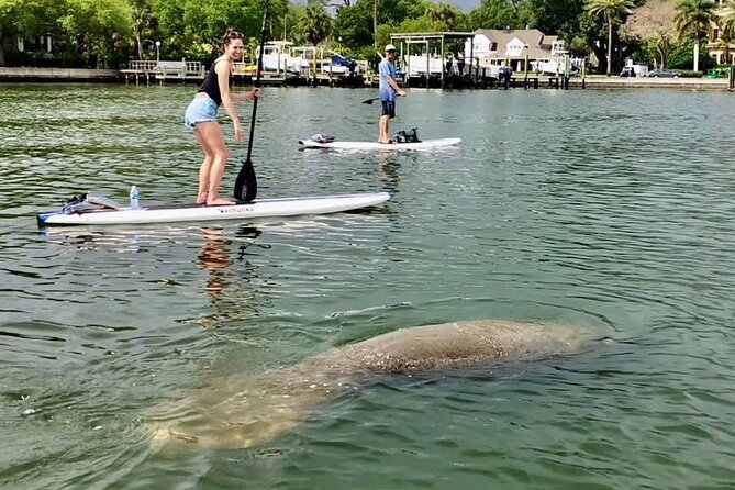 Saint Petersburg Paddle Board Tour - Key Reasons This SUP Tour Works