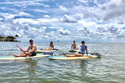 Saint Petersburg Paddle Board Tour - Wildlife Spotting That Feels Like Learning, Not Chasing