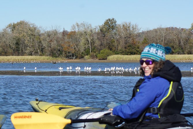 Sandhill Crane Kayak Tour with Chattanooga Guided Adventures - Key highlights you’ll care about