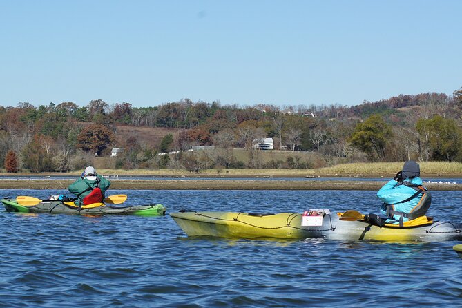 Sandhill Crane Kayak Tour with Chattanooga Guided Adventures - What’s included: kayaks, cold-weather gear, and binoculars