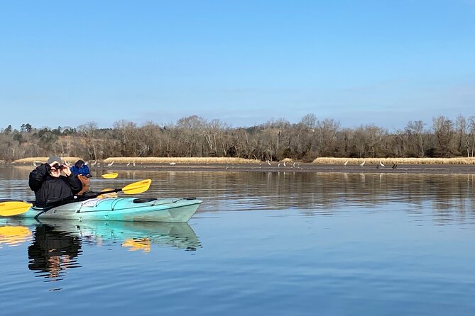 Sandhill Crane Kayak Tour with Chattanooga Guided Adventures - Eco-value and small-group ethics: why kayaking feels better than shore-only spotting