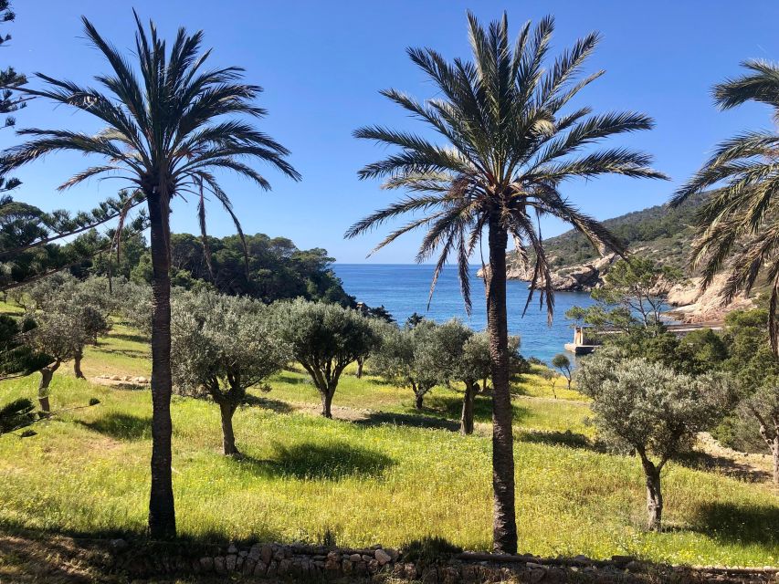 Sant Elm: Guided kayak tour to the island Dragonera - Dragonera Looks Different From Your Kayak