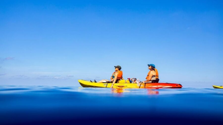 Sant Elm: Guided kayak tour to the island Dragonera - Weather-Dependent Planning: What to Expect and How to Adapt