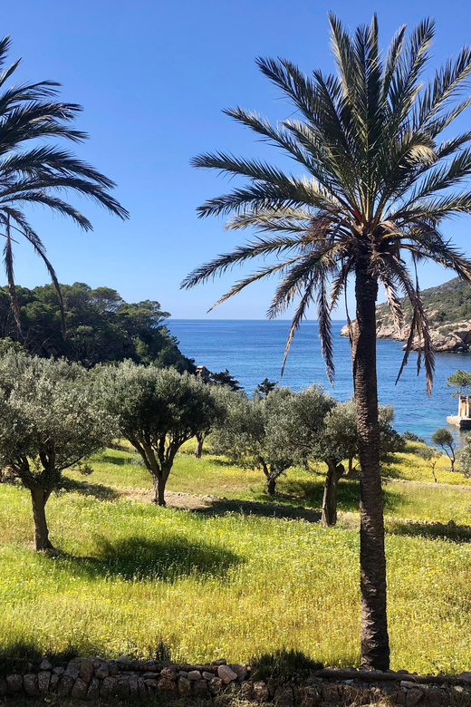 Sant Elm: Guided kayak tour to the Island Dragonera & Hiking - Sant Elm to Dragonera: Why This Combo Works