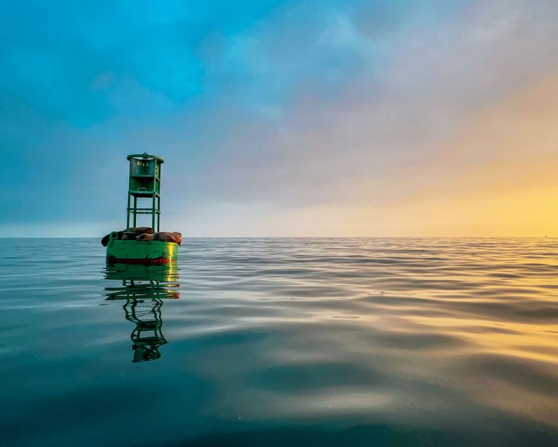 Santa Barbara Harbor: Sunset Kayak Tour (2 Hours) - The Quick Paddling Lesson You Actually Use