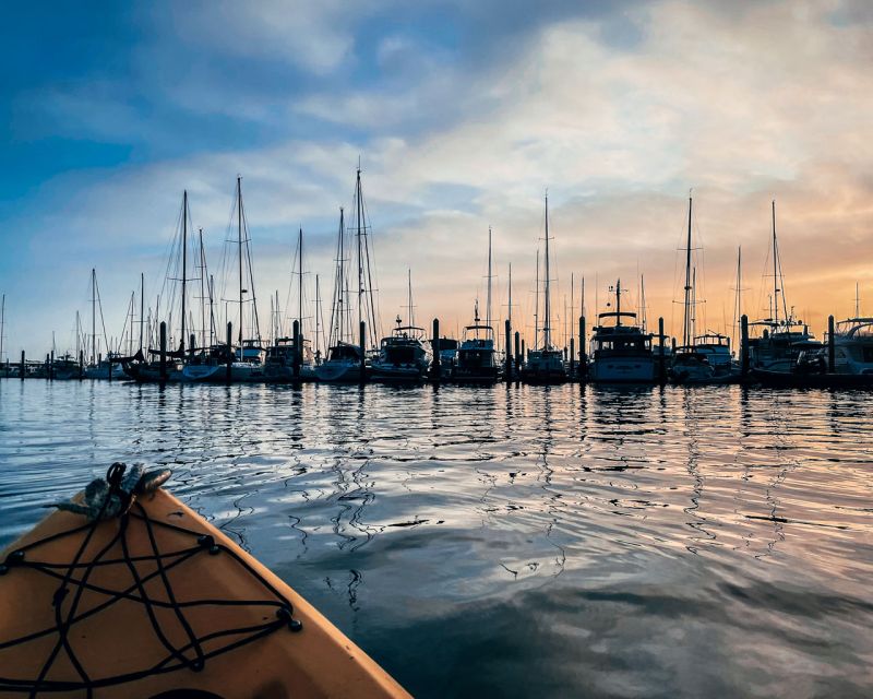 Santa Barbara Harbor: Sunset Kayak Tour (2 Hours) - Who Should Choose This Easy Santa Barbara Sunset Kayak Tour