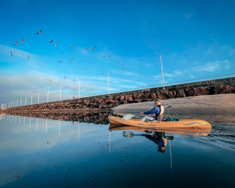 Santa Barbara Harbor: Sunset Kayak Tour (2 Hours) - Timing Tips for the Sunset View You Actually Came For