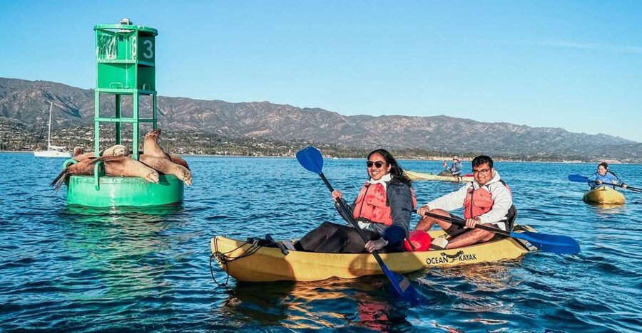 Santa Barbara Harbor: Wildlife Kayak Tour (2 Hours) - Key Points You’ll Care About