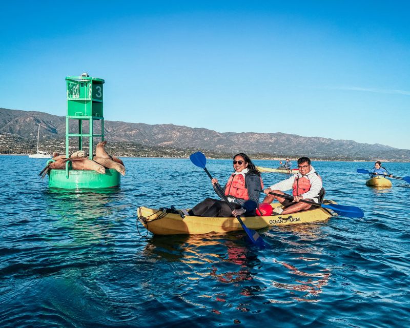 Santa Barbara Harbor: Wildlife Kayak Tour (2 Hours) - Why This Santa Barbara Harbor Kayak Tour Feels Different