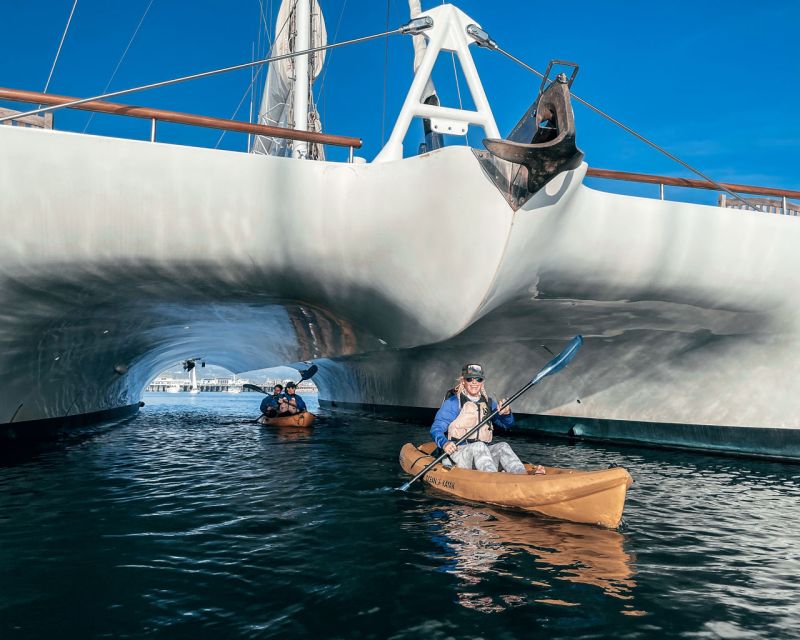 Santa Barbara Harbor: Wildlife Kayak Tour (2 Hours) - Through the Harbor: Historic Wharfs, Under the Pier, and Buoy Work