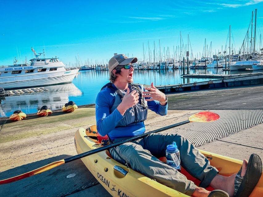 Santa Barbara Harbor: Wildlife Kayak Tour (2 Hours) - Wildlife and Marine Ecology: What the Guide Actually Adds