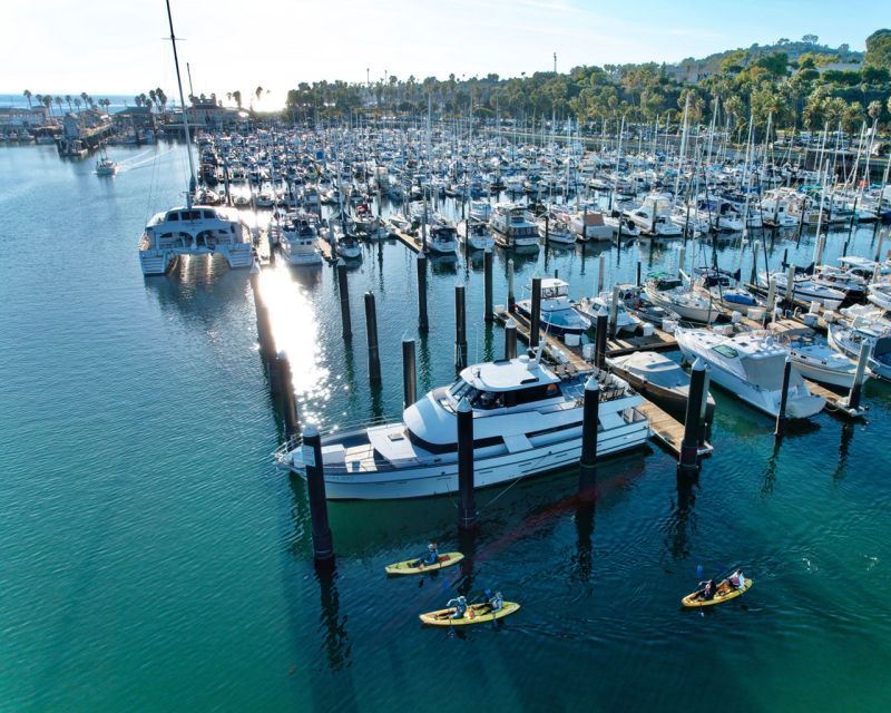 Santa Barbara Harbor: Wildlife Kayak Tour (2 Hours) - Meet at Sea Landing: What Happens Before You Hit the Water
