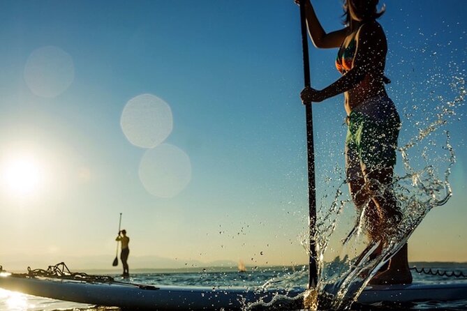 Santa Barbara Kayak or Stand Up Paddle Rental - Seals, Buoys, and the Part Where You Actually Look Around