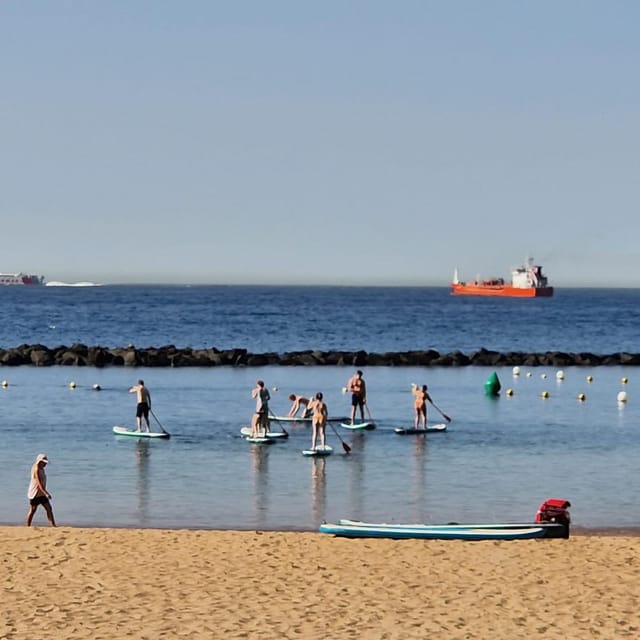 Santa Cruz de Tenerife: Las Teresitas Stand Up Paddle Course - The Course Format: 20 Minutes of Teaching, About One Hour of Freedom