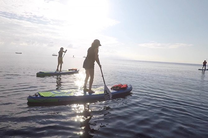 Santorini Stand-Up Paddle and Snorkel Adventure - Santorini SUP and Snorkel: Why This Morning Route Feels Different