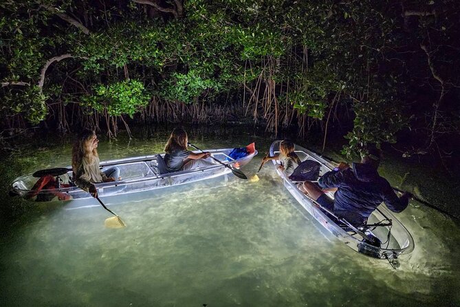 Sarasota - Clear Kayak LED Night Glass Bottom Tour - Key things to know before you go