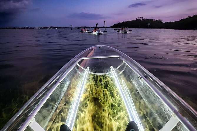 Sarasota - Clear Kayak LED Night Glass Bottom Tour - Why Sarasota Bay at night feels made for clear kayaks