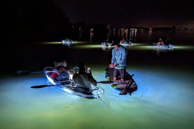 Sarasota - Clear Kayak LED Night Glass Bottom Tour - Meet the guides: what your group experience can feel like