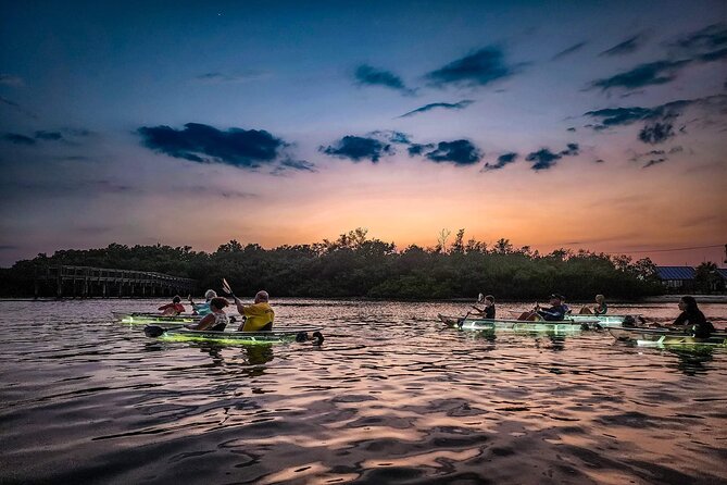 Sarasota - Clear Kayak LED Night Glass Bottom Tour - Comfort, seats, and the wet factor you should plan for