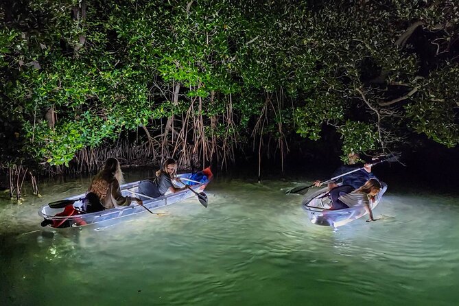 Sarasota - Clear Kayak LED Night Glass Bottom Tour - Kayak setup and weight limits: planning for the right board