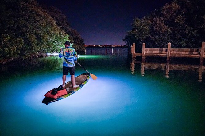 Sarasota - Clear Kayak LED Night Glass Bottom Tour - The 10,000-lumen LED setup: why it matters for what you see