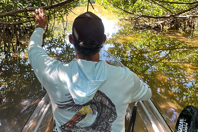 Sarasota Clear Kayak Tour - Jim Neville Marine Preserve: Mangrove Forests, Tunnels, and Wildlife Time