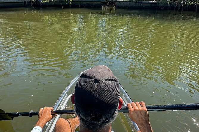 Sarasota Clear Kayak Tour - Beyond the Mangroves: Beach Time, Shelling, and Shark Teeth Hunting