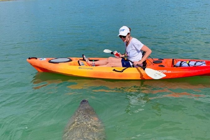 Sarasota Guided Mangrove Tunnel Kayak Tour - Getting started at 190 Taft Dr: what the first 15 minutes feel like