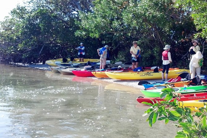Sarasota Guided Mangrove Tunnel Kayak Tour - Gear and comfort: why included paddles and life jackets are a big deal