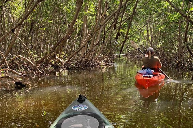 Sarasota Guided Mangrove Tunnel Kayak Tour - Weather and reality checks: how to plan your expectations
