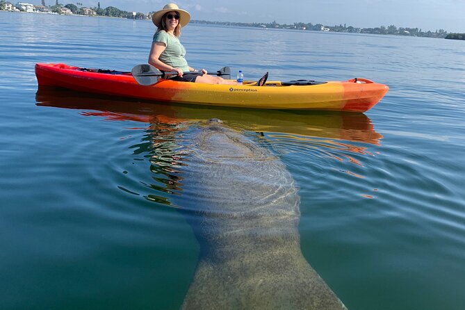 Sarasota Mangrove Tunnel Guided Kayak Adventure - Key things to know before you go