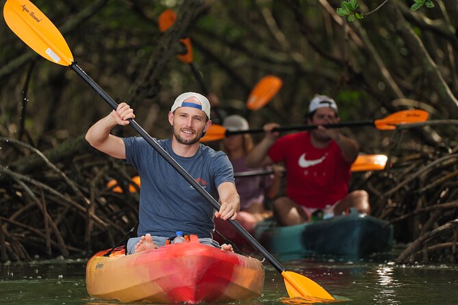 Sarasota Mangrove Tunnel Guided Kayak Adventure - The 2-hour rhythm: lesson, open water, and the tunnel return