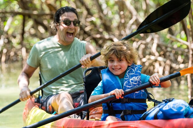 Sarasota Mangrove Tunnel Guided Kayak Adventure - Wildlife spotting on Sarasota Bay: what to watch for and how to enjoy it
