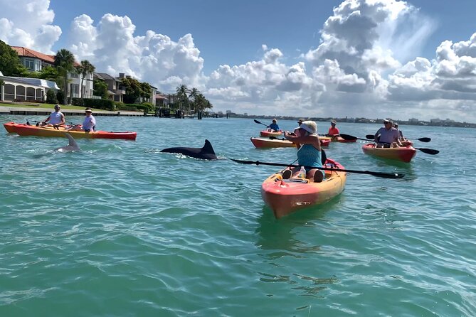 Sarasota Mangrove Tunnel Guided Kayak Adventure - What you get for $65: real value, not just a price tag