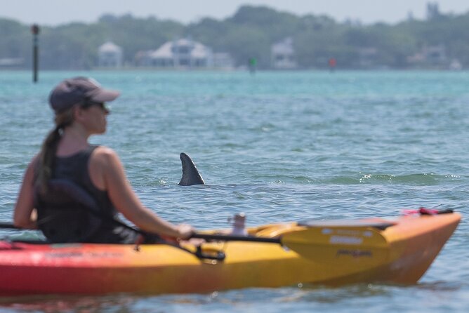 Sarasota Mangrove Tunnel Guided Kayak Adventure - Who this tour suits best (and who should think twice)