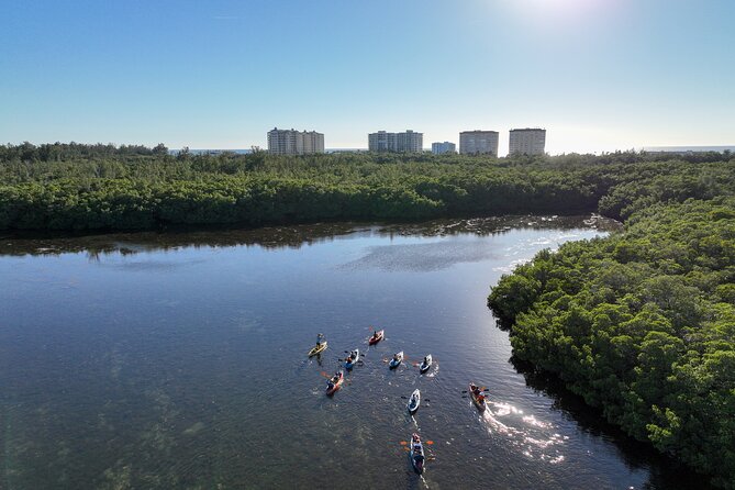 Sarasota Mangrove Tunnel Guided Kayak Adventure - Your paddle lesson: how they get you comfortable fast