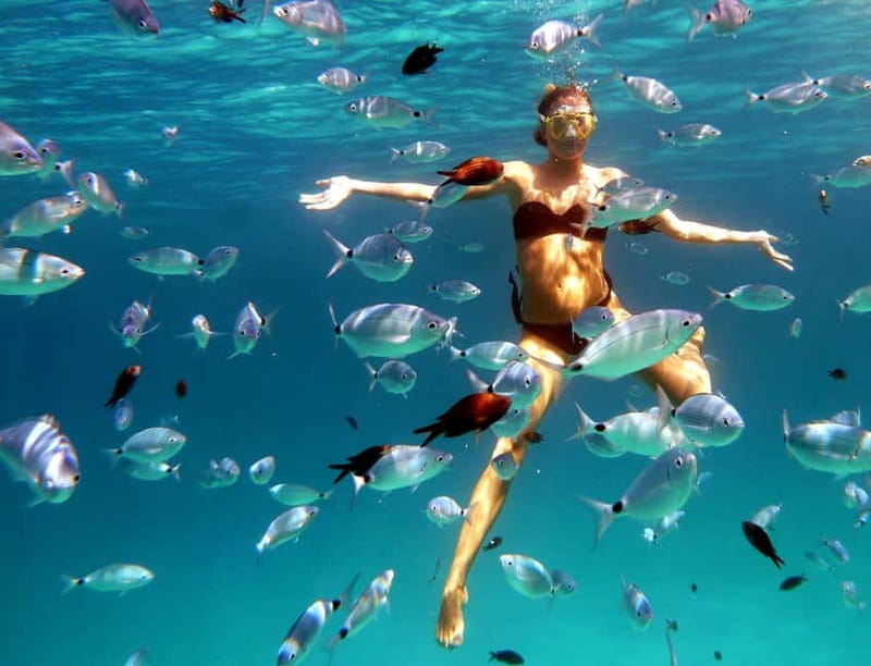 Sardinia: Morning Kayak Tour + Snorkeling and Local Aperitif - Sardinia’s morning kayak: why Tavolara feels special