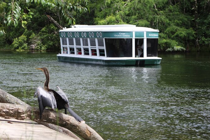 Sassy’s Silver Springs Kayak and Paddleboard Tours - Key highlights before you go