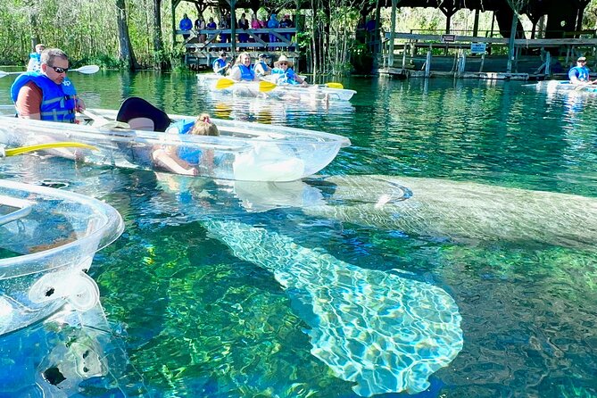 Sassy’s Silver Springs Kayak and Paddleboard Tours - Silver Springs kayak and paddleboard: what you’re paying for