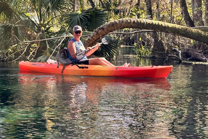 Sassy Silver Springs Kayak and Paddle Rental - Price and Value: What Your $45 Really Buys