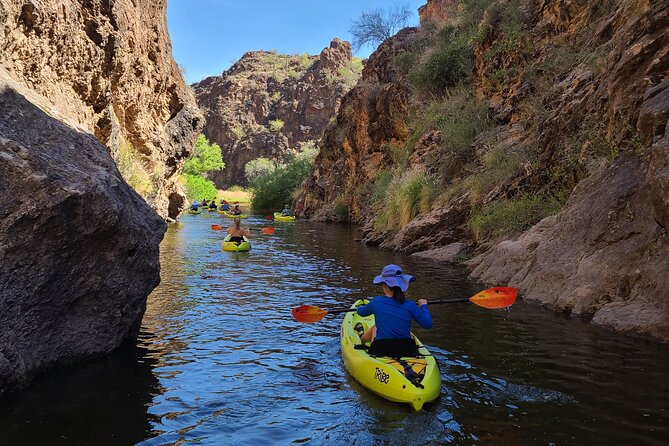 Scenic Guided Kayaking Tour on Saguaro Lake - Price and value: is $120 fair for what you get?