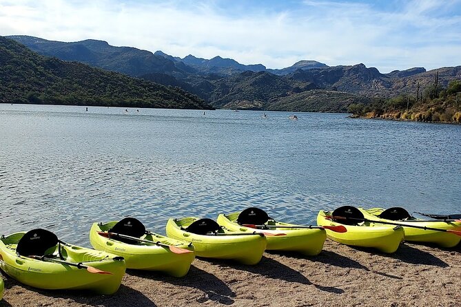 Scenic Guided Kayaking Tour on Saguaro Lake - Who should book this kayak tour (and who might want to skip)