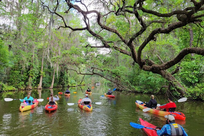 Scenic Half-Day Kayak or Paddleboard Rental – Dora Canal - Key takeaways before you go