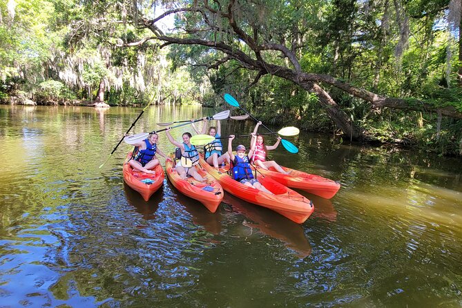 Scenic Half-Day Kayak or Paddleboard Rental – Dora Canal - Dora Canal kayaking in Tavares: what you’re really buying