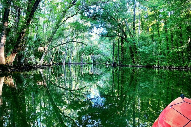 Scenic Half-Day Kayak or Paddleboard Rental – Dora Canal - The morning factor: less boat traffic, more wildlife time