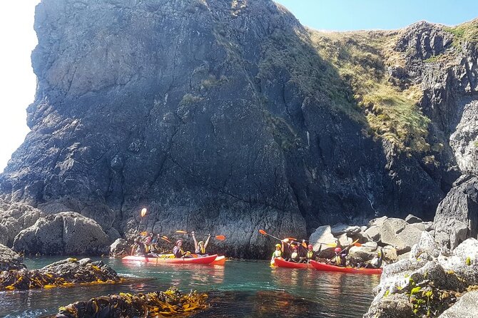 Sea Cave Kayaking Experience - Meeting point and parking: keeping your morning stress low