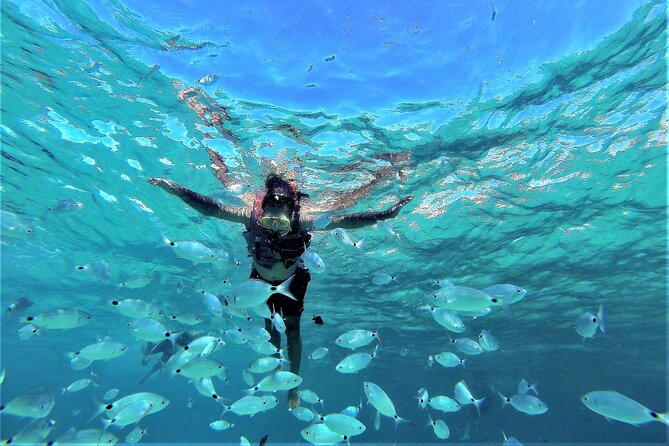 Sea Caves & Coves Snorkeling Paddle Boarding Tour - Stop 1: Cala Comte for Snorkel, SUP, and Sun Time